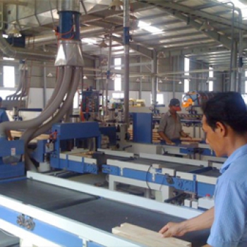 Hoạt động sản xuất