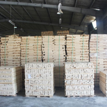 Sản phẩm cung cấp