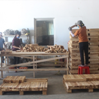 NGHỊCH LÝ THỊ TRƯỜNG ĐỒ GỖ NỘI ĐỊA