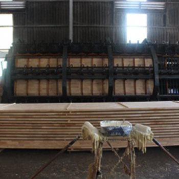 TIÊU THỤ GỖ THỊ TRƯỜNG NỘI ĐẠI TĂNG MẠNH