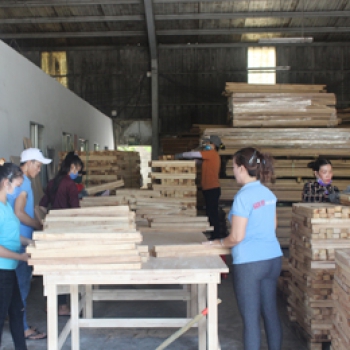 GỖ GHÉP - NHỮNG YẾU TỐ LƯU Ý CHO DOANH NGHIỆP XUẤT KHẨU